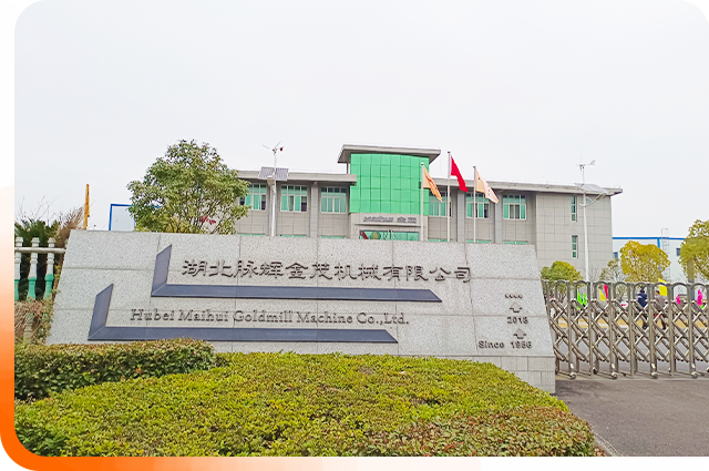 Chi &egrave; Guangdong Maihui Machine Co.,Ltd. e perch&eacute; dovresti scegliere le loro soluzioni logistiche?